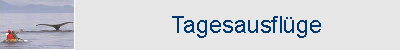 Mnu-Bild